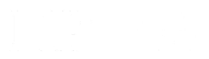 Marian Palacios - Logo flexile-white-logo